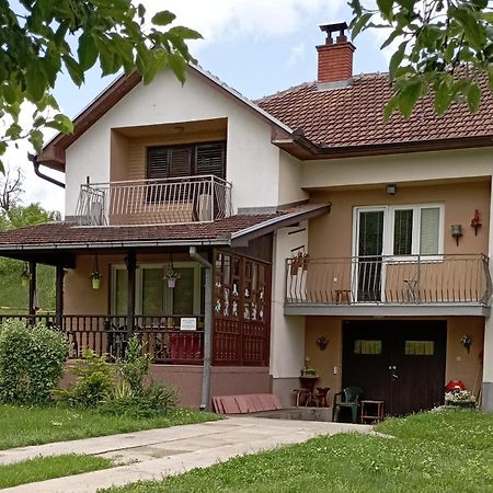 Kuca Za Odmor Zicanka Kraljevo Kültér fotó