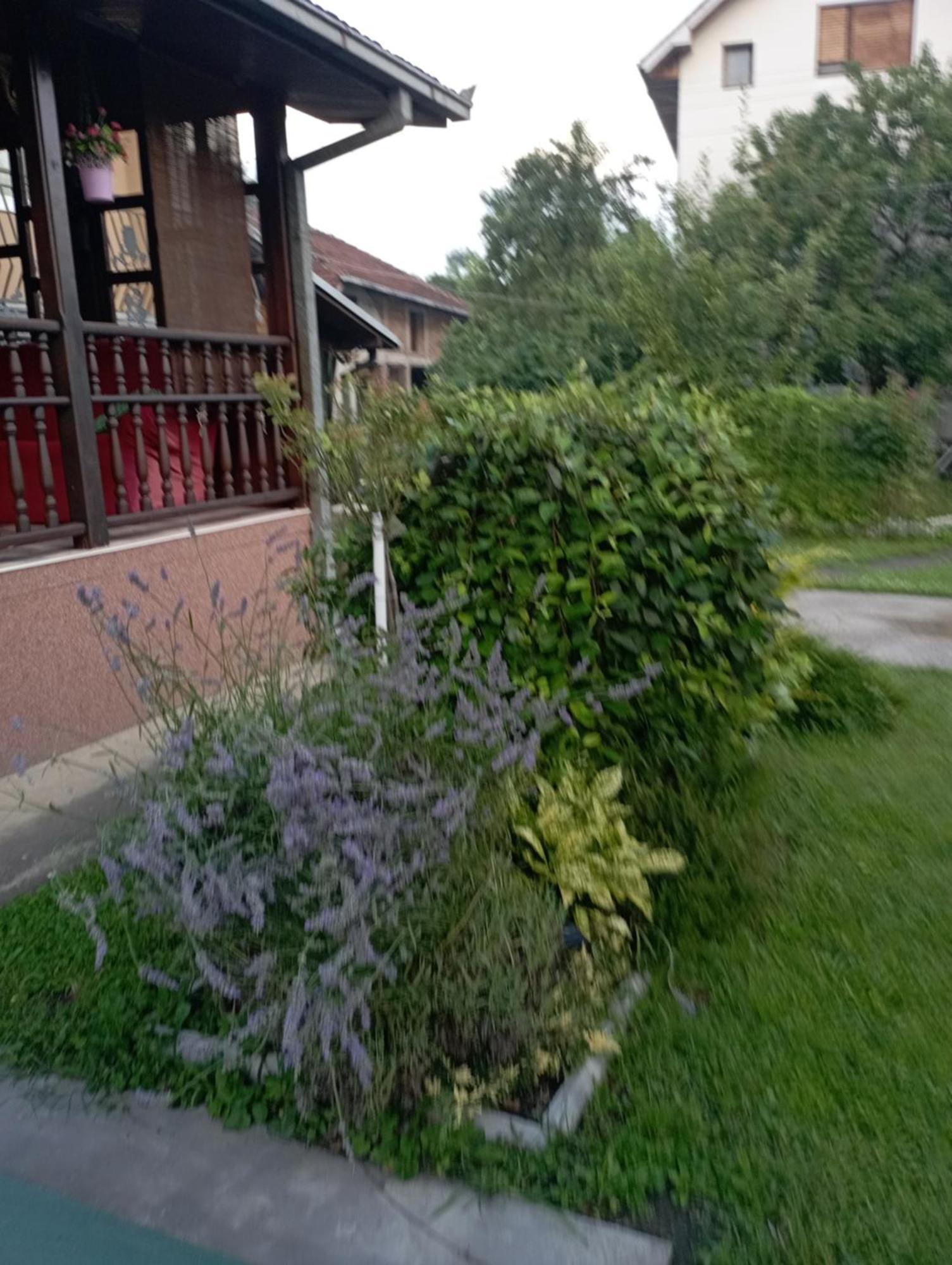 Kuca Za Odmor Zicanka Kraljevo Kültér fotó