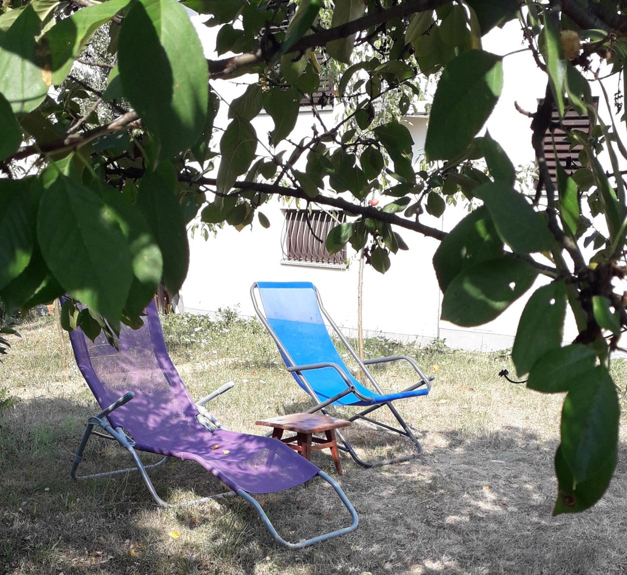 Kuca Za Odmor Zicanka Kraljevo Kültér fotó