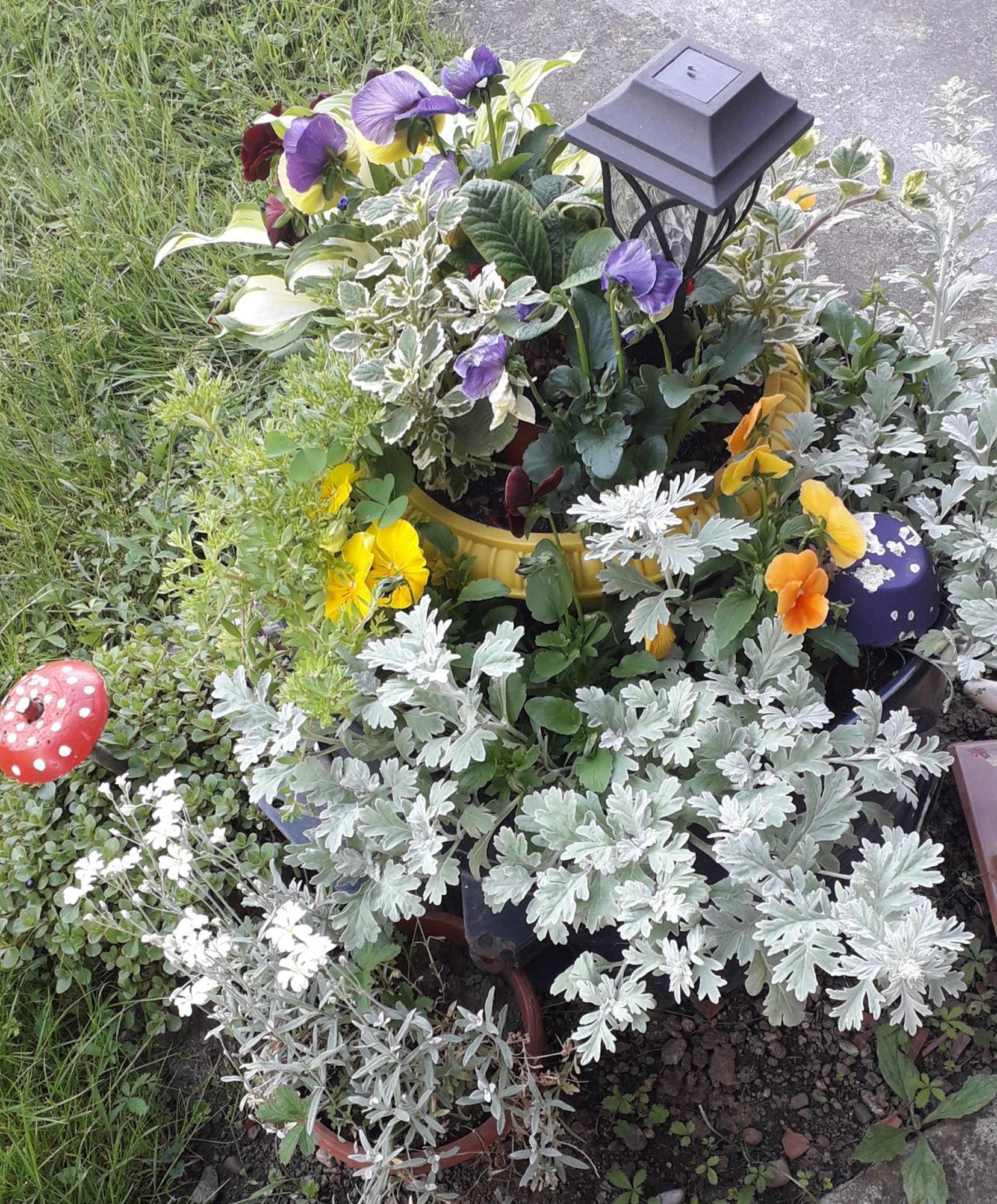 Kuca Za Odmor Zicanka Kraljevo Kültér fotó
