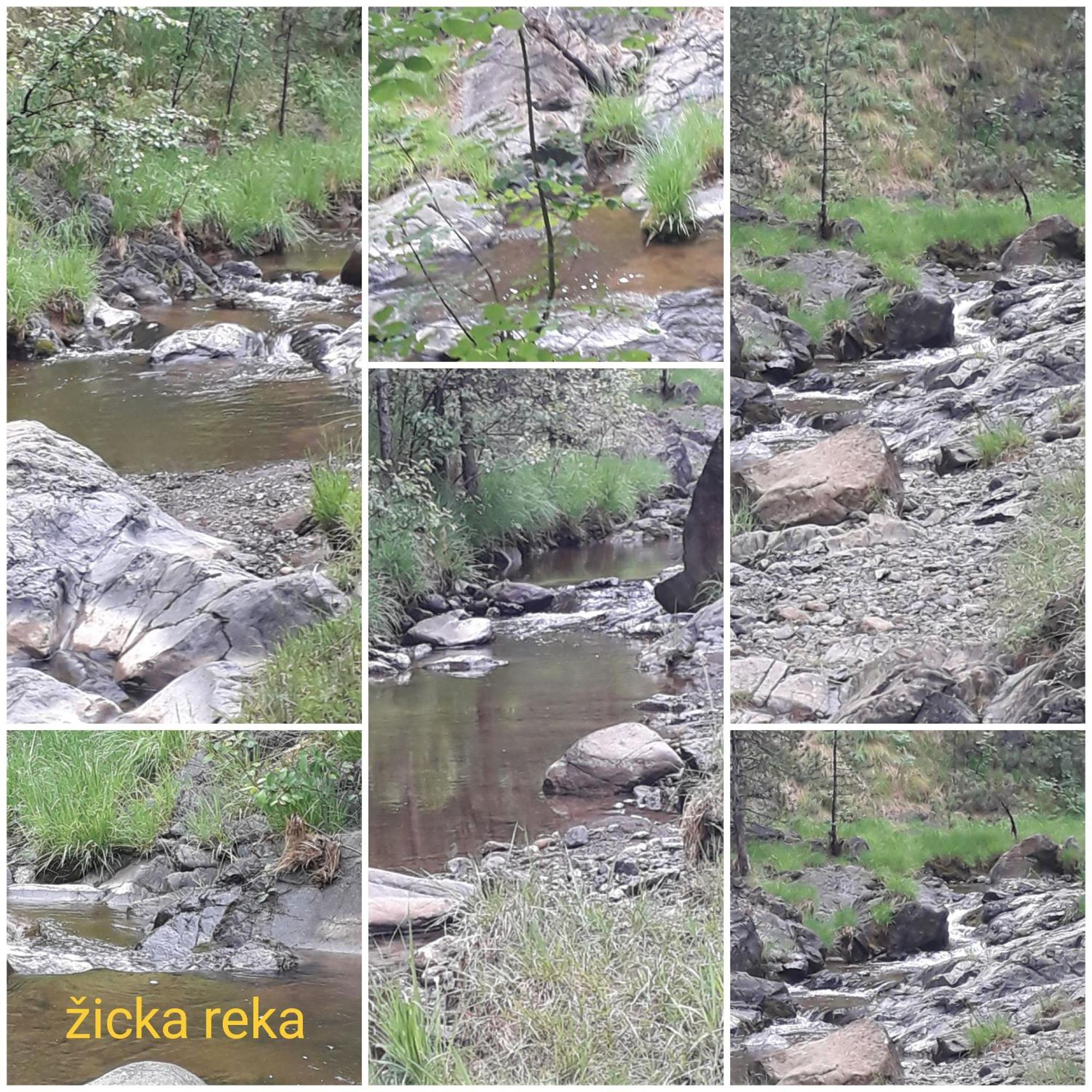 Kuca Za Odmor Zicanka Kraljevo Kültér fotó